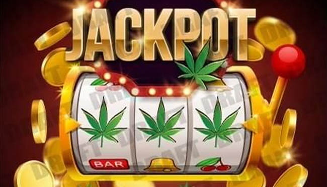 Attracting All Kinds of Benefits from Online Slot Gambling